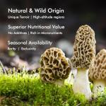 Dried Wild Morel Mushrooms for Gourmet Cooking
