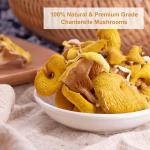 Dried Chanterelle Mushrooms - All-Natural, 2.5 oz