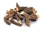 Gourmet Dried Morel Mushrooms - 1oz