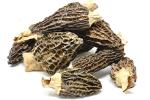Gourmet Dried Morel Mushrooms - 1oz