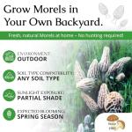 Morel Mushroom Growing Kit for Any Soil