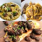 Dried Morel Mushrooms by VIGOROUS MOUNTAINS