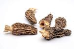 Gourmet Dried Morel Mushrooms - 1oz