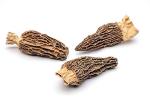 Gourmet Dried Morel Mushrooms - 1oz