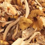 Dried Chanterelle Mushrooms for Gourmet Cooking