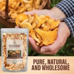 Dried Chanterelle Mushrooms for Gourmet Cooking
