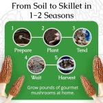Morel Mushroom Growing Kit for Any Soil