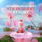 Starbucks Pink Drink, Strawberry Acai Coconut Milk 12-Pack