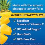 Dole Tropical Gold Pineapple Chunks in Juice