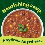 Pacific Foods Organic Plant-Based Lentil Soup 16.3 oz