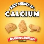 Barnum's Animal Crackers - 10 Kids Snack Packs