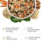 JustFoodForDogs Fresh Chicken Dog Food, 7 Pack
