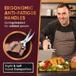 Heavy Duty Stainless Steel Poultry Shears