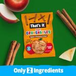 Fruit Crunchables Apple Cinnamon Crisps, 15-Pack