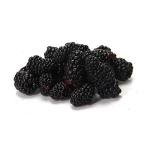 Fresh Blackberries, 6 oz Pack