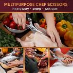 Heavy Duty Stainless Steel Poultry Shears