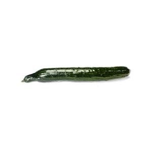 Fresh English Cucumbers for Crisp Salads