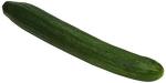 Fresh English Cucumbers for Crisp Salads