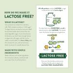 Organic Lactose-Free Cream Cheese, 8 Ounce