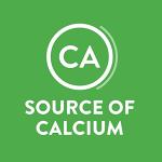 Daiya Vegan Mac and Cheese, Dairy Free Cheddar