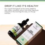 Chlorophyll Liquid Drops for Energy and Gut Health