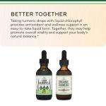 Chlorophyll Liquid Drops for Energy and Gut Health