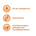 Amazon Basics Anti-Frizz Conditioner with Argan Oil