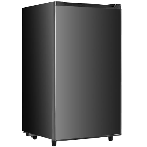 Compact Mini Fridge with Freezer and Adjustable Thermostat