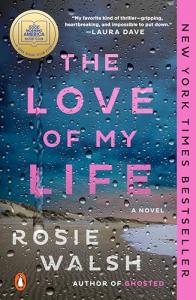 The Love of My Life: A Novel