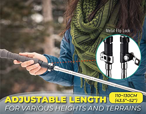 Collapsible Nordic Hiking Poles - Cork Handle, Ultralight