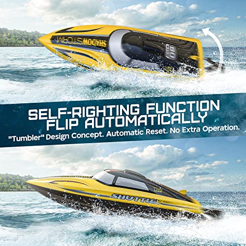 ALPHAREV RC Boat - R208: Fast 20+ MPH Speed Boat