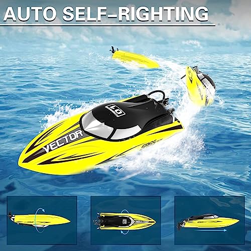 High-Speed Brushless RC Boat for Adults - Vector SR65
