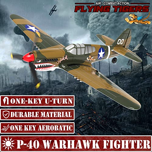 LEAMBE RC Plane - Beginner's Xpilot Stabilized Warhawk