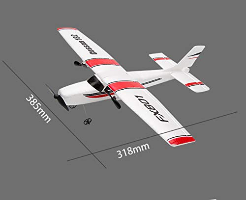 PLRB Toys 2.4Ghz Cessna RC Airplane - Beginner Friendly