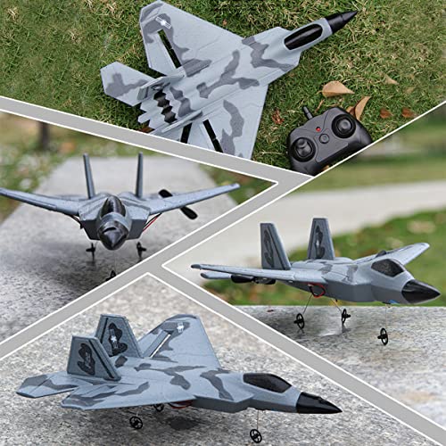 Fisca RC F-22 Fighter Raptor Plane - Ready to Fly!