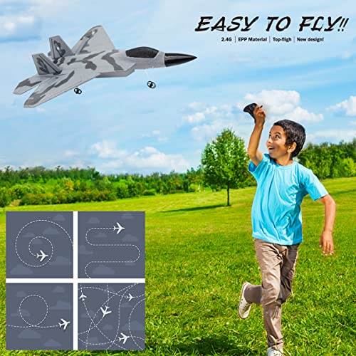 Fisca RC F-22 Fighter Raptor Plane - Ready to Fly!