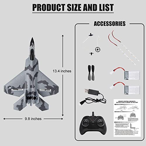Fisca RC F-22 Fighter Raptor Plane - Ready to Fly!