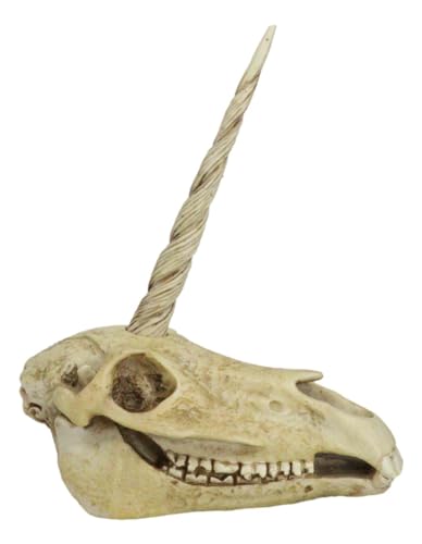 Rare Ancient Unicorn Skull Statue for Collectors