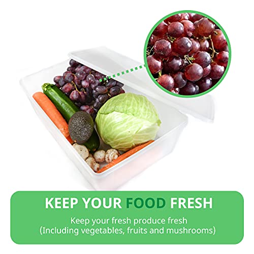 2.4 gal Produce Saver Containers for Refrigerator, Pizza Dough Proofing Box, Vegetable Storage Containers for Refrigerator, Pizza Storage Container, Marinating Container, Pizza Dough Box, Veggie Saver