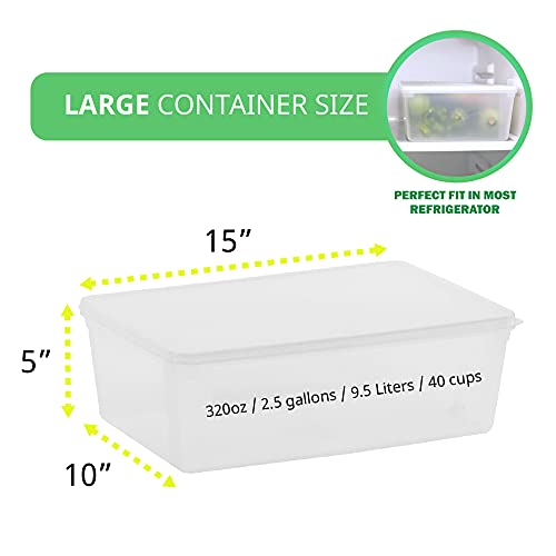 2.4 gal Produce Saver Containers for Refrigerator, Pizza Dough Proofing Box, Vegetable Storage Containers for Refrigerator, Pizza Storage Container, Marinating Container, Pizza Dough Box, Veggie Saver