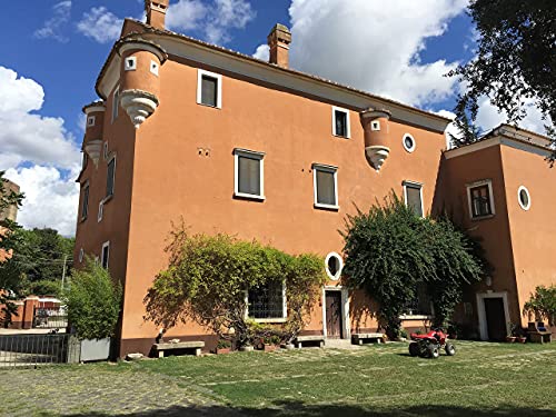 10 PACK FROZEN Buffalo Mozzarella | Made with 100% Water Buffalo Milk | Product of Italy | 10 PACK x 320 g (16 balls x 20 g per bag) Lupara Brand