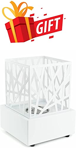 AMS | Summerset 'The Oven' Outdoor Freestanding Gas Oven with Pizza Stone, Smoker Box and Mobile Cart, 304 Stainless Steel, Liquid Propane| |FREE Tabletop Fire Pit (Liquid Propane)