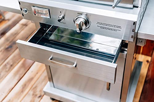 AMS | Summerset 'The Oven' Outdoor Freestanding Gas Oven with Pizza Stone, Smoker Box and Mobile Cart, 304 Stainless Steel, Liquid Propane| |FREE Tabletop Fire Pit (Liquid Propane)