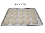 Fresh Made New York City Pizza Dough. 1 and a Quarter Pound Each - 10 Pack - All Natural Ingredients