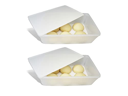 2.4 gal Produce Saver Containers for Refrigerator, Pizza Dough Proofing Box, Vegetable Storage Containers for Refrigerator, Pizza Storage Container, Marinating Container, Pizza Dough Box, Veggie Saver