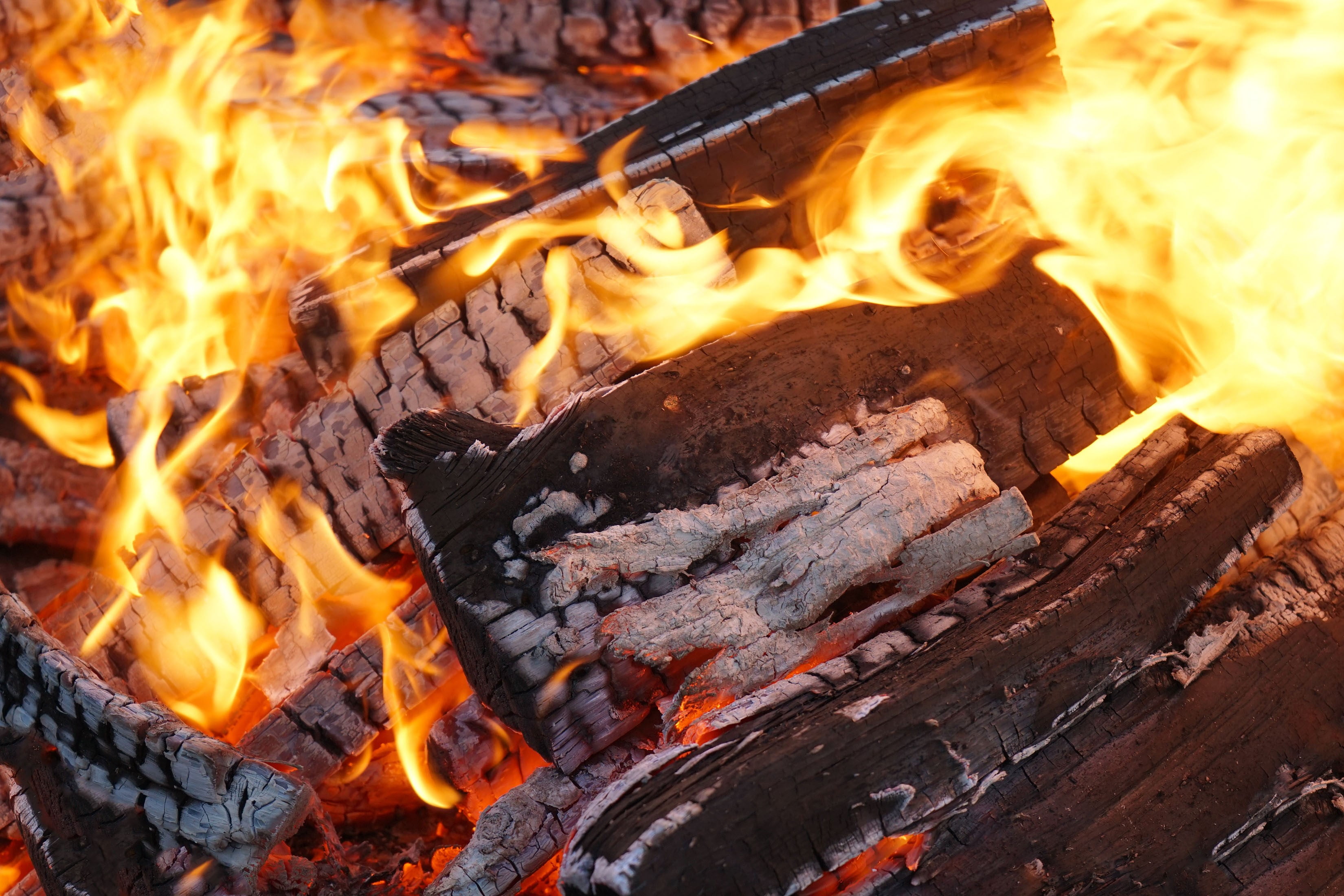 Hickory Wood Mini Smoking Logs for Expert Grills