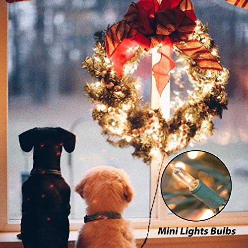 Christmas String Lights: 100 Count Mini Lights, 25 Feet