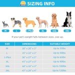 Large Ortho Dog Bed with Removable Waterproof Cover