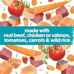 Small Breed Wet Dog Food Variety Pack - 30 Cans