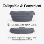 Reusable Collapsible Food Container - On-The-Go